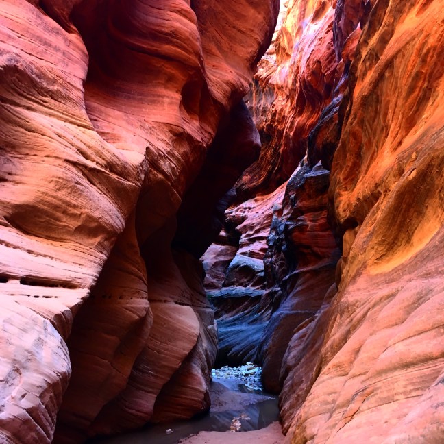 Buckskin Gulch